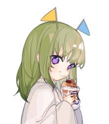 Rule 34 | 1boy, androgynous, bread, crumbs, eating, enkidu (fate), fate/grand order, fate (series), flag, food, food on face, food wrapper, from side, green hair, hands up, holding, holding food, kingu (fate), long hair, long sleeves, looking at viewer, looking to the side, male focus, object on head, purple eyes, robe, rocco, simple background, solo, upper body, white background, white robe, wide sleeves