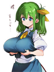 Rule 34 | 1girl, ascot, ase (nigesapo), blue eyes, blue skirt, blue vest, breast hold, breasts, closed mouth, commentary request, daiyousei, green hair, highres, large breasts, medium hair, shirt, short sleeves, side ponytail, simple background, skirt, solo, squiggle, touhou, translation request, vest, white background, white shirt, yellow ascot