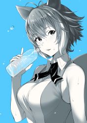 Rule 34 | 1girl, animal ears, antenna hair, bare shoulders, blazblue, blue background, blush, bottle, breasts, hair between eyes, highres, holding, holding bottle, large breasts, looking at viewer, makoto nanaya, multicolored hair, open mouth, purinnssu, shirt, short hair, simple background, sleeveless, sleeveless shirt, solo, squirrel ears, squirrel girl, sweat, two-tone hair, upper body