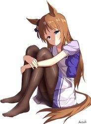 Rule 34 | 1girl, absurdres, animal ears, banpunsik, black pantyhose, bow, brown hair, commentary request, ear ornament, feet, grass wonder (umamusume), highres, horse ears, horse girl, horse tail, hugging own legs, knees, long hair, looking at viewer, multicolored hair, no shoes, pantyhose, pleated skirt, purple bow, purple shirt, school uniform, shirt, signature, simple background, skirt, solo, streaked hair, summer uniform, tail, tracen school uniform, umamusume, white background, white hair, white skirt