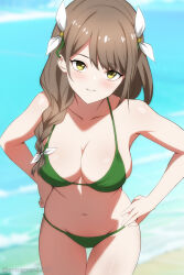 Rule 34 | 1girl, alternate costume, beach, bikini, blue sky, braid, braided ponytail, breasts, brown hair, cleavage, closed mouth, commentary, day, english commentary, entogman, fire emblem, fire emblem engage, goldmary (fire emblem), green bikini, hair over shoulder, hands on own hips, highres, large breasts, long hair, looking at viewer, navel, nintendo, ocean, outdoors, sky, smile, solo, stomach, swimsuit, thigh gap, thighs, yellow eyes