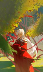 Rule 34 | 1boy, animal ears, bead necklace, beads, blurry, blurry foreground, dog ears, feet out of frame, hair between eyes, hakama, highres, holding, holding ribbon, inuyasha, inuyasha (character), japanese clothes, jewelry, long hair, looking at viewer, male focus, necklace, outdoors, qiyan anlll, red hakama, red ribbon, ribbon, sidelocks, solo, tree, white hair, yellow eyes