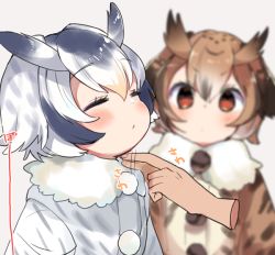 Rule 34 | 10s, 2girls, animal ears, blurry, blush, brown eyes, brown hair, closed eyes, coat, commentary, depth of field, disembodied hand, eurasian eagle owl (kemono friends), fur collar, fur trim, grey hair, hair between eyes, hand on another&#039;s chin, head wings, kemono friends, long sleeves, multicolored hair, multiple girls, northern white-faced owl (kemono friends), onbin ha, open mouth, pom pom (clothes), short hair, simple background, stroking another&#039;s chin, white background, white coat, white hair, wings
