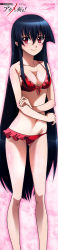Rule 34 | 10s, 1girl, absurdres, akame (akame ga kill!), akame ga kill!, bikini, black hair, blush, body blush, breasts, cleavage, closed mouth, collarbone, copyright name, dated, facing viewer, frilled bikini, frills, front-tie bikini top, front-tie top, groin, hair between eyes, highres, holding own arm, legs, logo, long hair, long image, looking at viewer, medium breasts, nakamura kazuhisa, navel, official art, pink background, red bikini, red eyes, scan, shiny skin, sideboob, sidelocks, smile, solo, standing, star (symbol), starry background, stick poster, straight hair, swimsuit, tall image, very long hair, wet