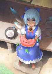 Rule 34 | (doragon) akitsuki, 1girl, barefoot, blue dress, blue eyes, blue hair, blush, cirno, plate, dress, eating, flower, food, food on face, from above, fruit, full body, hair ribbon, hidden star in four seasons, highres, ice, ice wings, leaf, looking at viewer, looking up, plant, puffy sleeves, ribbon, short hair, short sleeves, sitting, smile, solo, sunflower, tan, tanned cirno, touhou, tray, vines, watermelon, wings