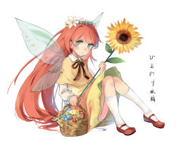Rule 34 | 1girl, basket, capelet, dress, expressionless, flower, full body, green eyes, hair flower, hair ornament, kneehighs, long hair, long sleeves, red footwear, red hair, ribbon, shirt, shoes, simple background, sitting, socks, solo, sunflower, sunflower fairy (touhou), thighs, touhou, translation request, transparent wings, very long hair, white background, white socks, white shirt, yellow dress, yorktown cv-5