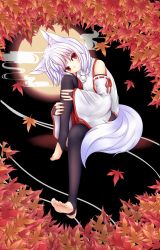Rule 34 | 1girl, :3, absurdres, animal ears, autumn leaves, bare shoulders, black skirt, black thighhighs, breasts, commentary request, detached sleeves, feet, full moon, highres, inubashiri momiji, leaf, looking at viewer, medium skirt, moon, multicolored clothes, multicolored skirt, no shoes, oohirakeisuke, pom pom (clothes), red eyes, red skirt, ribbon-trimmed sleeves, ribbon trim, shirt, short hair, silver hair, sitting, skirt, sleeveless, sleeveless shirt, soles, solo, tail, thighhighs, toeless legwear, toes, touhou, turtleneck, white shirt, wide sleeves, wolf ears, wolf tail