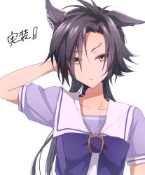 Rule 34 | 1girl, air shakur (umamusume), animal ears, arm behind head, ayame iro (toumei dolce), black hair, bow, bowtie, closed mouth, collarbone, eyebrow piercing, highres, horse ears, looking at viewer, parted lips, piercing, purple bow, purple bowtie, purple shirt, raised eyebrow, sailor collar, school uniform, shirt, short sleeves, simple background, solo, tracen school uniform, umamusume, upper body, white background, yellow eyes