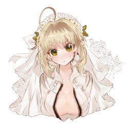 Rule 34 | 10s, 1girl, ahoge, bad id, bad pixiv id, blonde hair, blush, breasts, cleavage, fate/extra, fate/extra ccc, fate (series), hair intakes, large breasts, long hair, looking at viewer, lunchicken, nero claudius (bride) (fate), nero claudius (fate), nero claudius (fate) (all), simple background, solo, sweatdrop, upper body, white background, yellow eyes