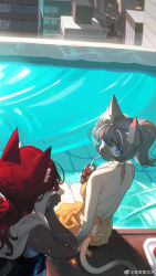 Rule 34 | 2girls, animal ear fluff, animal ears, animal nose, arm at side, artist name, back, backless swimsuit, bare shoulders, black one-piece swimsuit, blue eyes, blurry, body fur, breasts, can, cat ears, cat girl, cat tail, chinese text, claws, closed mouth, clothing cutout, cropped, day, depth of field, drink, drink can, drinking, drinking straw, female focus, from behind, furry, furry female, grey hair, hand up, highres, holding, holding can, holding drink, holding towel, long hair, looking at viewer, looking back, medium hair, multiple girls, one-piece swimsuit, orange one-piece swimsuit, original, outdoors, ponytail, pool, red hair, ripples, rooftop, sidelocks, sitting, slit pupils, small breasts, soaking feet, soda can, swimsuit, tail, tail through clothes, towel, tray, two-tone fur, upper body, water, watermark, weibo watermark, wet, white fur, wiping face, wo xuyao jiashui