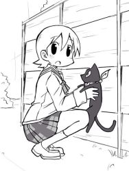 Rule 34 | aioi yuuko, black cat, cat, holding, monochrome, nichijou, sakamoto (nichijou), scarf, squatting, zubatto