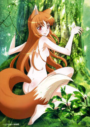 Rule 34 | 1girl, absurdres, animal ears, ass, barefoot, blush, breasts, brown hair, feet, highres, holo, komino masahiko, leaf, long hair, looking at viewer, megami magazine, nude, official art, orange hair, red eyes, scan, small breasts, smile, solo, spice and wolf, tail, tree, very long hair, wolf ears, wolf tail