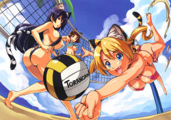 Rule 34 | 3girls, :d, absurdres, animal ears, ass, ball, bare legs, bare shoulders, barefoot, beach, beach volleyball, bikini, blonde hair, blue eyes, blue sky, breasts, brown eyes, brown hair, cat ears, cat tail, cleavage, earrings, covered erect nipples, extra ears, fang, from below, halterneck, highres, huge filesize, jewelry, large breasts, long hair, multiple girls, open mouth, palm tree, perspective, purple hair, red bikini, red eyes, scan, short hair, sky, slingshot swimsuit, smile, string bikini, swimsuit, tail, takeda hiromitsu, tiger ears, tiger tail, toranoana, tree, twintails, underboob