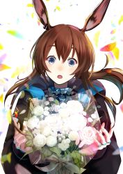 Rule 34 | 1girl, absurdres, amiya (arknights), animal ears, arknights, black jacket, blue eyes, bouquet, brown hair, ear piercing, flower, gradient background, highres, jacket, jewelry, looking at viewer, multiple rings, neck ring, nnicoinu, open clothes, open jacket, open mouth, piercing, rabbit ears, rabbit girl, ring, rose, thumb ring, white flower, white rose