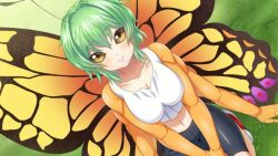 Rule 34 | 1girl, antennae, artist request, bike shorts, blush, breasts, butterfly girl, chitin, compound eyes, crop top, extra arms, flare (monster musume), game cg, grass, green hair, hair intakes, insect wings, medium breasts, medium hair, midriff, monster musume no iru nichijou, monster musume no iru nichijou online, navel, official art, outdoors, red footwear, seiza, shoes, sitting, smile, sneakers, tank top, white tank top, wings, yellow eyes