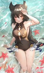 Rule 34 | 1girl, absurdres, animal ears, bare shoulders, black hair, black one-piece swimsuit, blush, braid, braided ponytail, casual one-piece swimsuit, caustics, cleavage cutout, clothing cutout, collarbone, covered navel, erune, feet out of frame, flower, granblue fantasy, highres, long hair, looking at viewer, nakonbu, nier (granblue fantasy), nier (lover by the lily lake) (granblue fantasy), one-piece swimsuit, partially submerged, red eyes, shading eyes, sitting, solo, swimsuit, twitter username, wet, wet hair