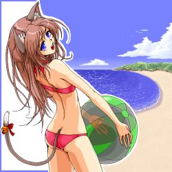 Rule 34 | 1girl, animal ears, ball, beach, beachball, bikini, cat ears, cat tail, day, original, outdoors, red bikini, solo, swimsuit, tail, yuuki (silent moon)