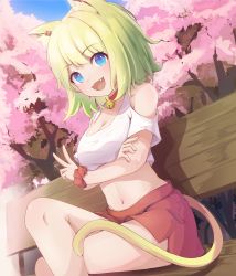 Rule 34 | :d, absurdres, animal ear fluff, animal ears, bare legs, bare shoulders, bench, blonde hair, blue eyes, breasts, cat ears, cat girl, cat tail, cherry blossoms, choker, cleavage, clothing cutout, crop top, crossed arms, curly hair, day, ear piercing, fang, feet out of frame, highres, crossed legs, looking at viewer, medium breasts, medium hair, midriff, navel, neck bell, off-shoulder shirt, off shoulder, open mouth, original, outdoors, park bench, piercing, red choker, red scrunchie, red shorts, scrunchie, shirt, short shorts, shorts, shoulder cutout, sitting, smile, tail, tree, v, wep16night, white shirt, wrist scrunchie