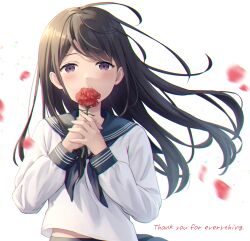 Rule 34 | 1girl, absurdres, ahoge, black hair, black neckerchief, black sailor collar, black skirt, blush, carnation, chromatic aberration, commentary, covered mouth, english text, falling petals, floating hair, flower, hands up, highres, holding, holding flower, long hair, long sleeves, looking at viewer, midriff peek, motion blur, neckerchief, original, own hands together, petals, psd available, purple eyes, red carnation, red flower, sailor collar, school uniform, serafuku, shirt, simple background, skirt, solo, thank you, white background, white shirt, yutuki ame