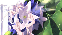 Rule 34 | 3girls, absurdres, blue eyes, blurry, blurry background, chinese text, colored eyelashes, completely nude, dew drop, fairy wings, flower, full body, hand on own chin, highres, huge filesize, leaf, long hair, looking at another, mini person, minigirl, multiple girls, nico-tine, nude, original, outdoors, power lines, serious, short hair, sitting, translation request, utility pole, water drop, white hair, wings