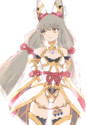 Rule 34 | 1girl, animal ear fluff, animal ears, bare shoulders, breasts, brown eyes, collarbone, commentary request, detached sleeves, facial mark, grey hair, highres, kokkou 1, leotard, long hair, long sleeves, looking to the side, nia (xenoblade), parted lips, simple background, small breasts, solo, very long hair, white background, white leotard, white sleeves, xenoblade chronicles (series), xenoblade chronicles 2