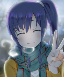Rule 34 | 10s, 1girl, ^ ^, blue hair, blurry, blush, breath, closed eyes, cold, depth of field, facing viewer, highres, imai midori, long hair, long sleeves, outdoors, scarf, sch, shirobako, side ponytail, smile, solo, upper body, v