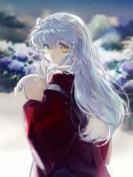 Rule 34 | 1boy, aged down, animal ears, ball, dog ears, hair between eyes, highres, holding, holding ball, inuyasha, inuyasha (character), japanese clothes, kimono, long hair, long sleeves, looking at viewer, mgmg 1012, outdoors, red kimono, solo, white hair, wide sleeves, yellow eyes