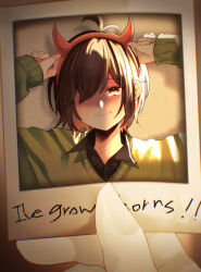 1other absurdres brown_hair deltarune demon_horns english_text green_sweater highres holding holding_photo horns kris_(deltarune) looking_at_viewer one_eye_covered photo_(object) shaded_face short_hair smile solo_focus sweater upper_body yoshino_(q_sci)