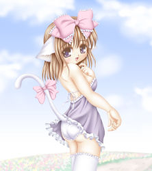 Rule 34 | 1girl, :d, animal ears, ass, bare shoulders, blonde hair, blue eyes, bow, cat ears, cat tail, day, field, flower, flower field, hair bow, looking back, open mouth, panties, purple eyes, ribbon, sky, smile, solo, tail, tail ornament, tail ribbon, thighhighs, underwear, white thighhighs
