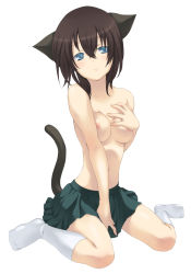 Rule 34 | 1girl, animal ears, black hair, blue eyes, breasts, brown hair, cat ears, cat tail, grabbing, grabbing another&#039;s breast, hisasi, nipples, short hair, simple background, sitting, skirt, socks, solo, source request, tail, topless, wariza