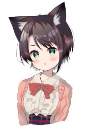 Rule 34 | 1girl, animal ear fluff, animal ears, black hair, black skirt, blush, center frills, collared shirt, cropped torso, frills, green eyes, high-waist skirt, highres, hololive, jacket, kemonomimi mode, looking at viewer, meito (maze), oozora subaru, oozora subaru (casual), open clothes, open jacket, parted lips, pink jacket, shirt, short hair, simple background, skirt, solo, upper body, v-shaped eyebrows, virtual youtuber, white background, white shirt