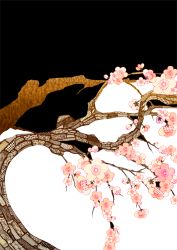 Rule 34 | cherry blossoms, flower, minoru (pulse20), no humans, original, plant, tree, branch, two-tone background