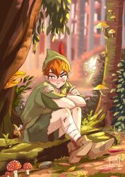 Rule 34 | 1boy, 1girl, artist name, boots, brown footwear, brown hair, crossed ankles, crossed arms, fairy, feathers, fly agaric, green eyes, green headwear, green tunic, hat, hat feather, highres, leaf, log, looking to the side, maria dresden, moss, mushroom, outdoors, peter pan (character), peter pan (disney), plant, pointy ears, red feathers, short hair, sitting, size difference, tinker bell (disney), tree, watermark