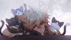 Rule 34 | 1boy, aether (genshin impact), animal, animal ears, arm guards, arm pillow, beads, black gloves, blurry, blurry background, braid, brown eyes, cat, cat boy, cat ears, closed mouth, crossed bangs, earrings, genshin impact, gloves, grey hair, hair between eyes, head rest, highres, jewelry, kemonomimi mode, kitten, long hair, looking at viewer, male focus, own hands together, short sleeves, smile, twitter username, weyowang
