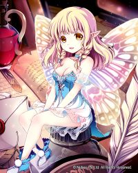 Rule 34 | 1girl, bare shoulders, blonde hair, book, braid, breasts, butterfly wings, cleavage, dress, envelope, fairy, fairy wings, flask, hair over shoulder, inkwell, insect wings, long hair, medium breasts, mini person, minigirl, original, pointy ears, quill, shoes, solo, tin (wsp85205), twin braids, wings, yellow eyes