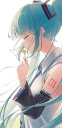 Rule 34 | 1girl, 200f (nifu), absurdres, aqua hair, bare shoulders, blouse, blue necktie, blush, closed eyes, clover, collared shirt, commentary, detached sleeves, four-leaf clover, from side, grey shirt, hatsune miku, highres, holding, long hair, long sleeves, necktie, number tattoo, profile, shirt, shoulder tattoo, solo, symbol-only commentary, tattoo, twintails, very long hair, vocaloid