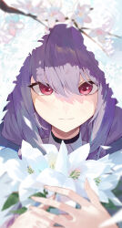 Rule 34 | 1girl, absurdres, atsuko (blue archive), blue archive, blurry, cherry blossoms, closed mouth, depth of field, flower, hair between eyes, highres, kji (rozo), lily (flower), long hair, looking at viewer, purple hair, red eyes, solo, straight-on, upper body, white flower
