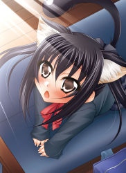 Rule 34 | 1girl, absurdres, animal ears, black hair, blush, brown eyes, cat ears, cat tail, fukunaga yukito, highres, k-on!, long hair, nakano azusa, necktie, open mouth, school uniform, solo, tail, twintails
