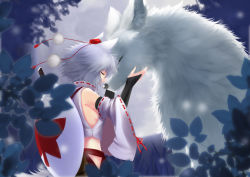 Rule 34 | 1girl, animal ears, closed eyes, hat, inubashiri momiji, short hair, solo, tail, touhou, white hair, wolf, wolf ears, wolf tail, wolflong