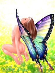 Rule 34 | ass, breasts, brown hair, butterfly wings, fairy, insect wings, long hair, mini person, minigirl, nature, nipples, nude, tagme, wings