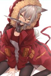 Rule 34 | 1girl, animal ears, ankoro mochi, arknights, breasts, brown eyes, commentary request, fur-trimmed hood, fur trim, grey hair, hair between eyes, head tilt, highres, hood, hooded jacket, jacket, knife, knife in mouth, long hair, long sleeves, looking at viewer, mouth hold, open clothes, open jacket, partial commentary, projekt red (arknights), red jacket, sitting, small breasts, solo, wariza, weapon, white background, wolf, wolf ears