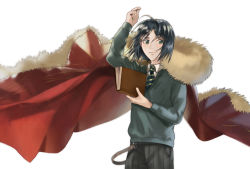 Rule 34 | 1boy, arm up, bad id, bad pixiv id, black eyes, black hair, book, cape, fate/grand order, fate/zero, fate (series), fur-trimmed cape, fur trim, green eyes, green shirt, highres, male focus, messy hair, necktie, parted bangs, shirt, smile, solo, sweater, waver velvet, yurian (user utch8788)