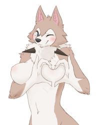 Rule 34 | 1girl, animal ears, blue eyes, blush, breasts, creatures (company), dog ears, female focus, furry, furry female, game freak, gen 7 pokemon, hands up, heart, heart-shaped boob challenge, heart hands, highres, large breasts, looking at viewer, lycanroc, navel, nintendo, nipples, nude, one eye closed, own hands together, personification, pokemon, pokemon (creature), pokemon sm, simple background, smile, solo, standing, upper body, white background, wink, xan (xan0712)