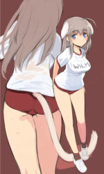 Rule 34 | 1girl, ahoge, animal ears, ass, blue eyes, blush, breasts, brown hair, buruma, cat ears, cat tail, from behind, full body, gym uniform, leaning forward, long hair, looking at viewer, multiple views, name tag, red background, shimada fumikane, shirt, shoes, short sleeves, simple background, smile, sneakers, strike witches, strike witches: katayoku no majo-tachi, sweat, tail, white shirt, wilma bishop, world witches series