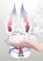 Rule 34 | :3, animal, closed eyes, fate/grand order, fate (series), fluffy, fou (fate), fur, hand on another&#039;s face, neck ribbon, petting, red ribbon, ribbon, shia 10nk, white fur