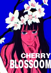 Rule 34 | 1girl, black hair, blue background, blue eyes, blunt bangs, branch, cherry blossoms, close-up, commentary request, green nails, highres, light smile, long hair, looking at viewer, nico robin, one piece, simple background, solo, ttongyyu, upper body