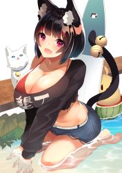 Rule 34 | 1girl, :d, absurdres, animal ear fluff, animal ears, azur lane, bare legs, barefoot, bell, bikini, bikini top only, bikini under clothes, black hair, black shirt, blue choker, blue shorts, blunt bangs, blush, breasts, cat, cat ears, choker, cleavage, clothes writing, colored eyebrows, commentary request, cutoffs, day, denim, denim shorts, fang, halterneck, hands on floor, highres, huge breasts, jingle bell, large breasts, leaf, long hair, long sleeves, looking at viewer, neck bell, off-shoulder shirt, off shoulder, open mouth, outdoors, red bikini, red eyes, seiza, shirt, short hair, short shorts, shorts, sitting, smile, solo, surfboard, swimsuit, tail, tail bell, tail ornament, white cat, yamaha tsui, yamashiro (azur lane)