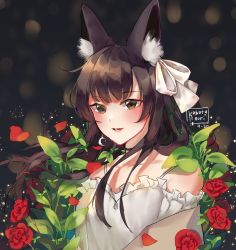 Rule 34 | 1girl, animal ear fluff, animal ears, artist name, bare shoulders, black hair, bow, brown eyes, commentary, copyright request, dated, dress, ear bow, english commentary, flower, frilled dress, frills, kobutanori, long hair, off-shoulder dress, off shoulder, parted lips, petals, red flower, red rose, rose, rose petals, solo, upper body, virtual youtuber, white bow, white dress