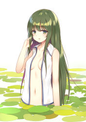 Rule 34 | 1girl, bare arms, bare shoulders, blush, breasts, collarbone, commentary request, cowboy shot, flan (seeyouflan), green eyes, green hair, hand in own hair, hand up, highres, ke-ta (style), kochiya sanae, lily pad, long hair, looking at viewer, medium breasts, navel, open clothes, open shirt, parted lips, shirt, sidelocks, simple background, sleeveless, sleeveless shirt, solo, stomach, touhou, very long hair, wading, white background, white shirt, wing collar