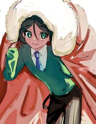 Rule 34 | 1boy, black hair, blue necktie, brown pants, cape, closed mouth, collared shirt, fate (series), fur-trimmed cape, fur trim, green eyes, green sweater, hair between eyes, highres, holding, holding cape, holding clothes, long sleeves, looking at viewer, male focus, necktie, pants, red cape, shirt, smile, solo, sweater, tokoni fusu, waver velvet, white background, white shirt
